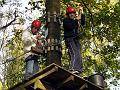 111028_Koala 018