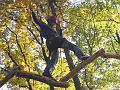 111028_Koala 028