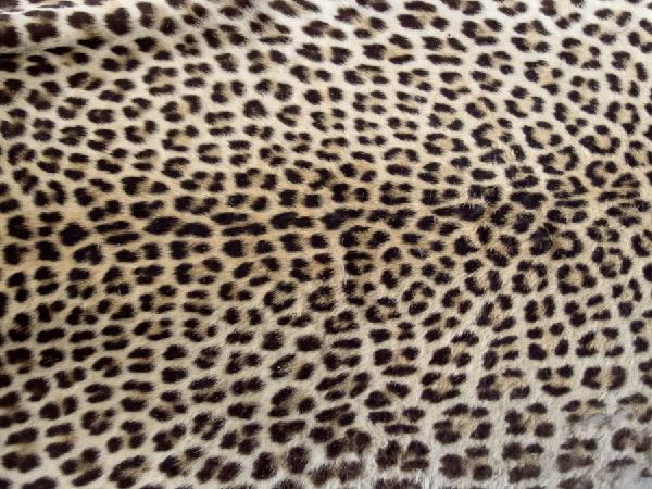 Leopard skin.jpg